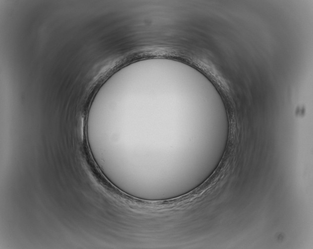 X0000095920014200801110905