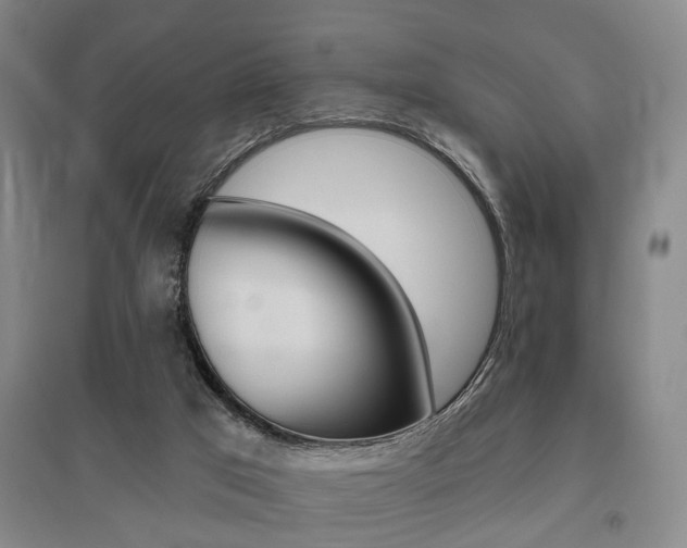 X0000095920017200801110905