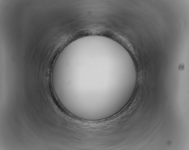 X0000095920018200801110905