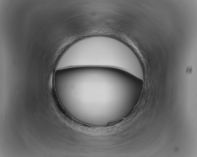 X0000095920019200801110905