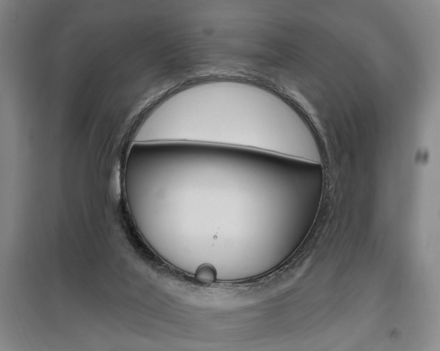 X0000095920020200801110905