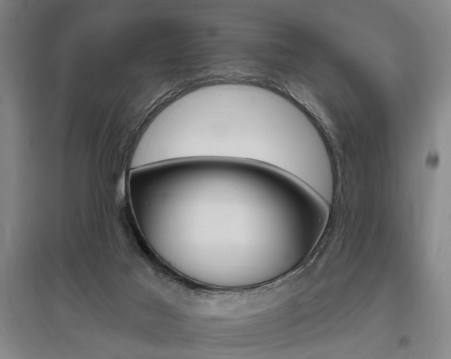 X0000095920021200801110905