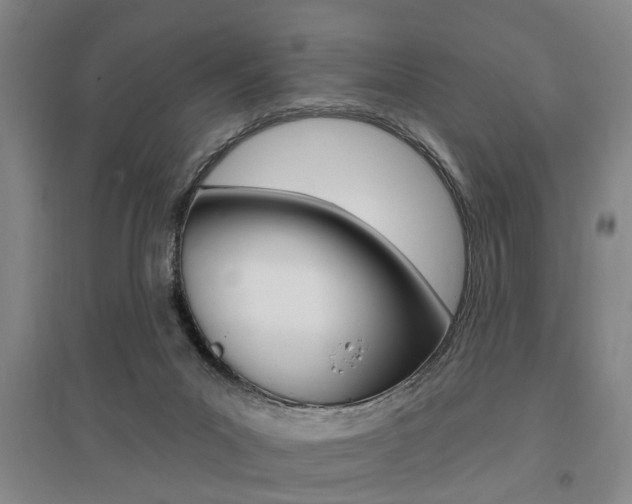 X0000095920023200801110905