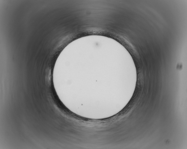 X0000095920024200801110905