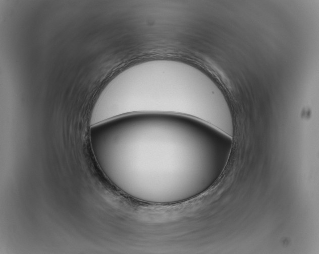 X0000095920025200801110905
