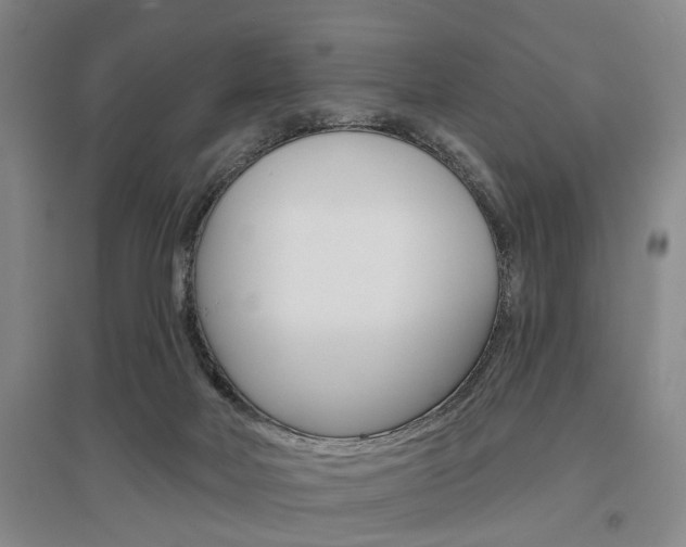 X0000095920026200801110905
