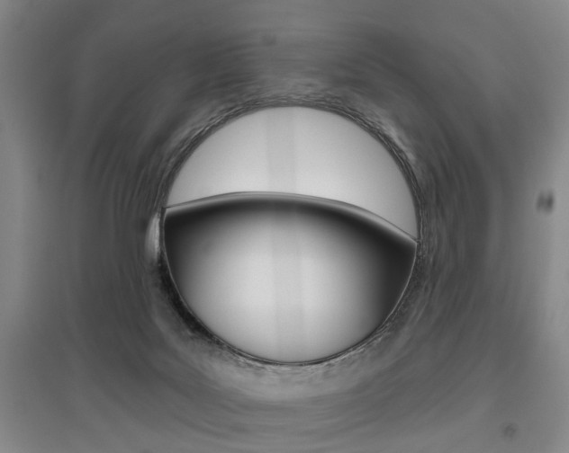 X0000095920027200801110905