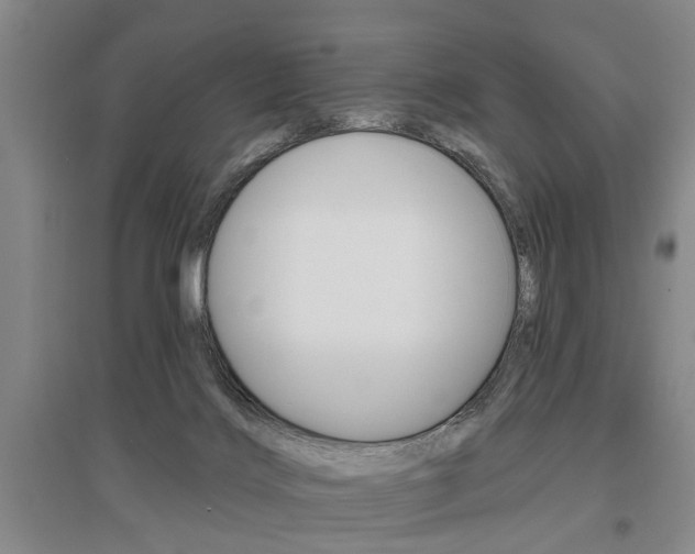 X0000095920028200801110905
