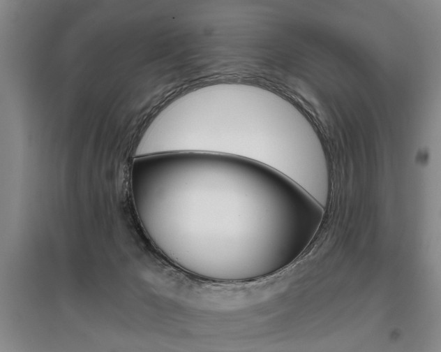 X0000095920029200801110905
