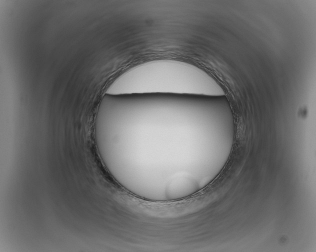 X0000095920030200801110905