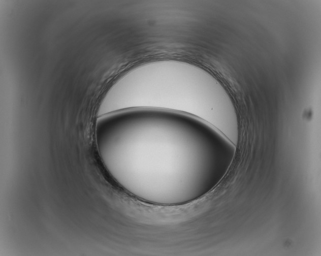 X0000095920031200801110905