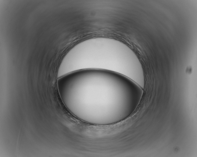 X0000095920033200801110905