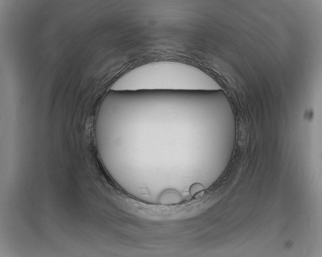 X0000095920034200801110905