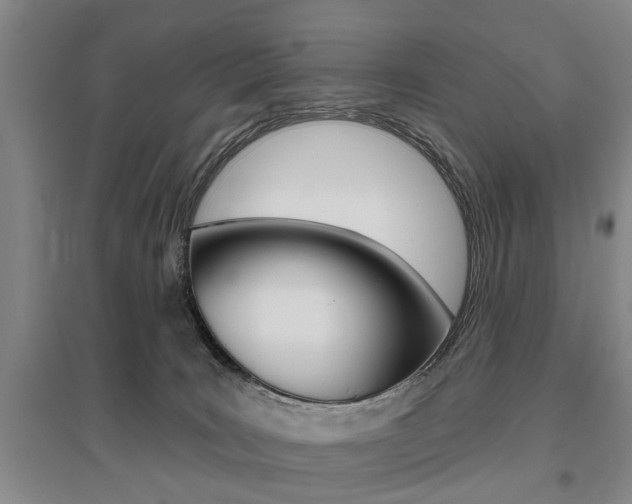 X0000095920035200801110905
