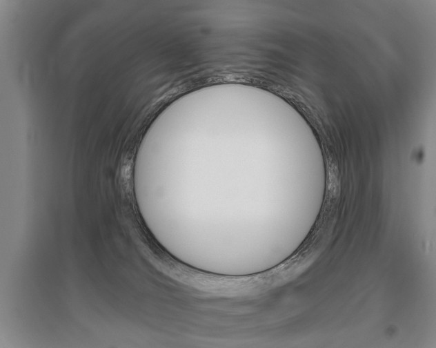 X0000095920036200801110905