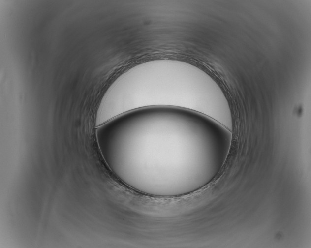 X0000095920037200801110905