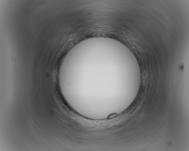 X0000095920038200801110905