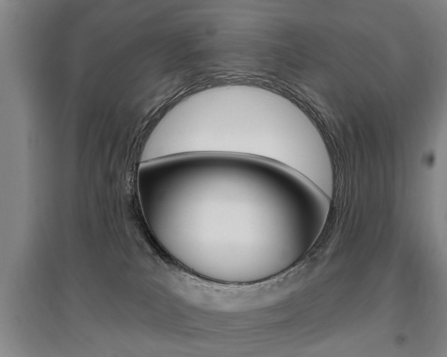 X0000095920039200801110905