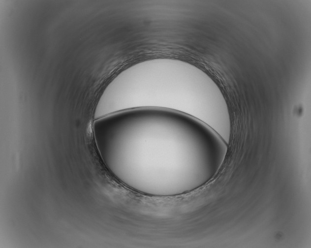 X0000095920041200801110905