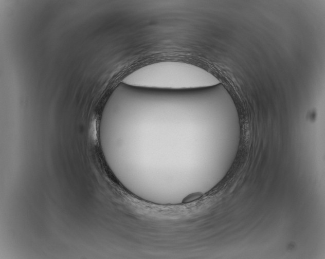 X0000095920042200801110905