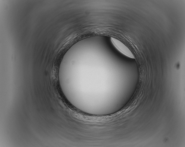 X0000095920044200801110905