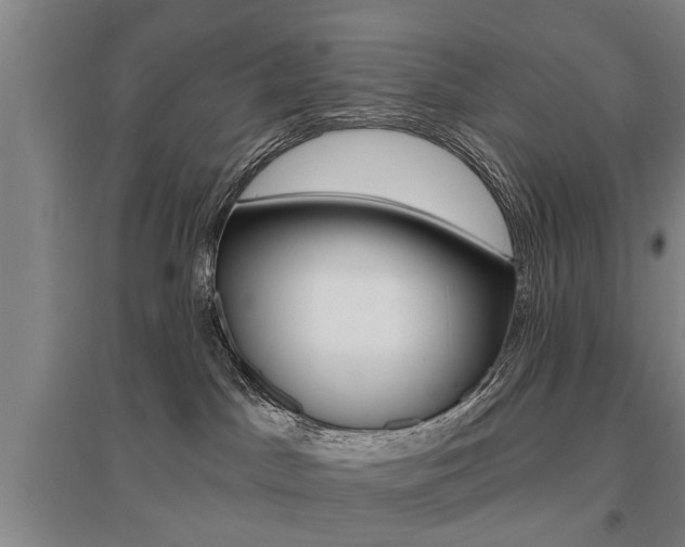 X0000095920045200801110905