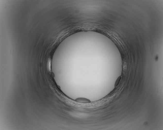 X0000095920046200801110905