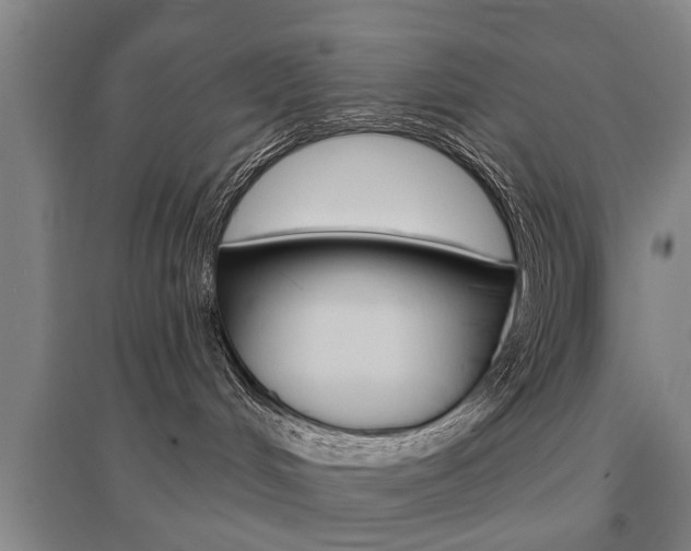 X0000095920048200801110905