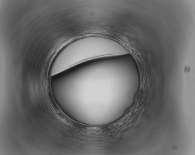 X0000095920050200801110904