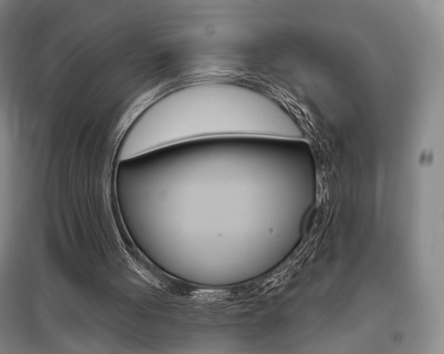 X0000095920051200801110904