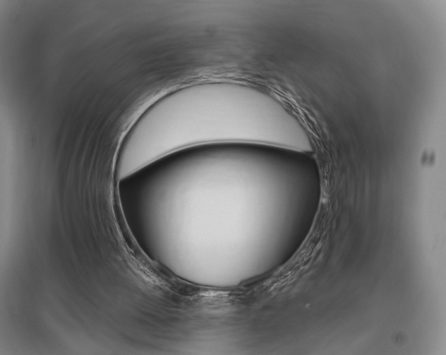 X0000095920052200801110904