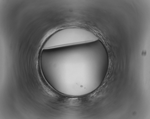 X0000095920054200801110904