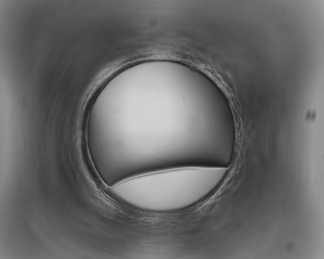 X0000095920055200801110904