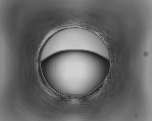X0000095920056200801110904