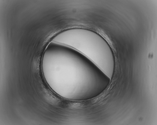 X0000095920058200801110904