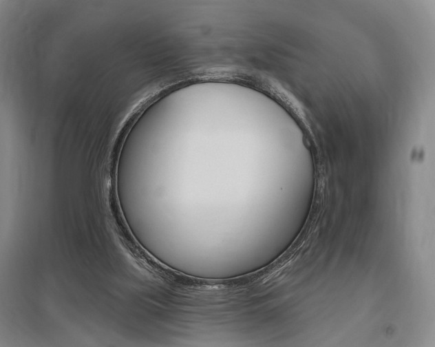 X0000095920059200801110904