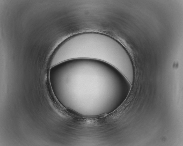 X0000095920060200801110904