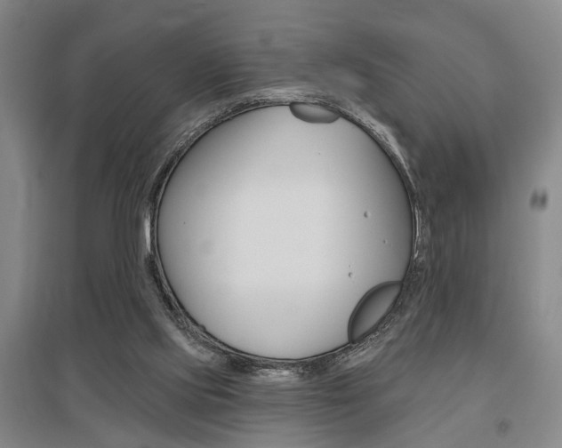 X0000095920061200801110904