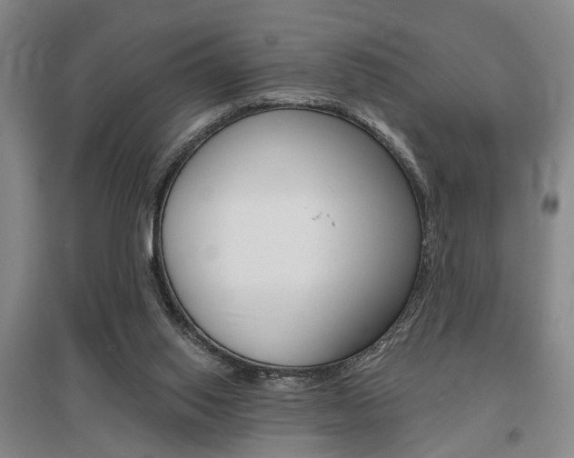 X0000095920062200801110904