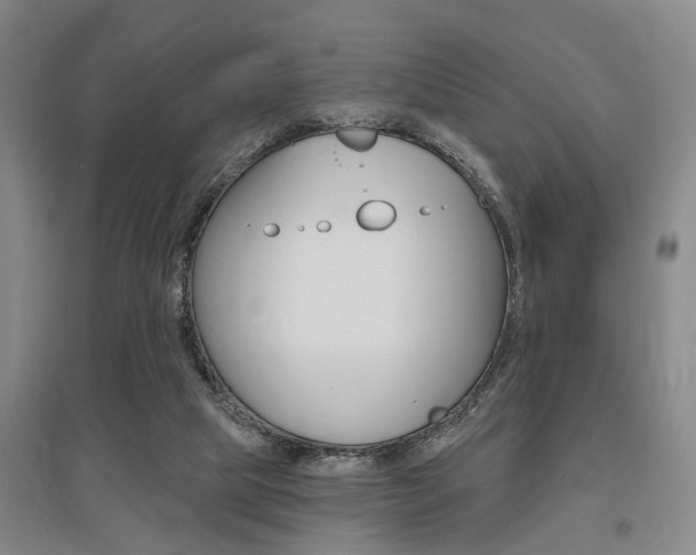 X0000095920065200801110904