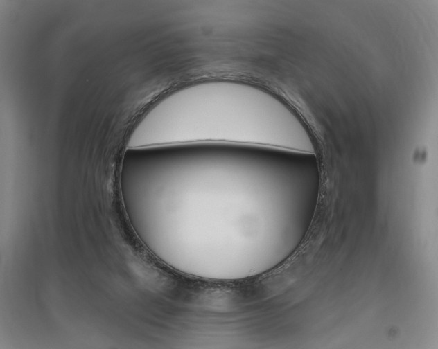 X0000095920066200801110904