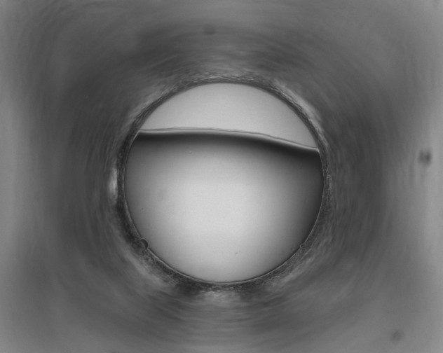 X0000095920067200801110904