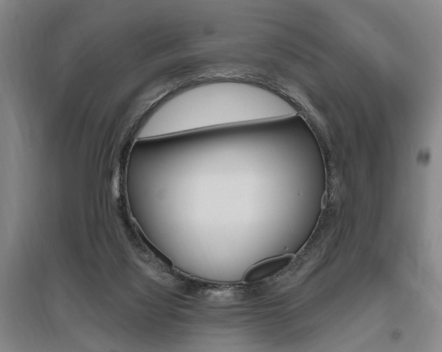 X0000095920068200801110904