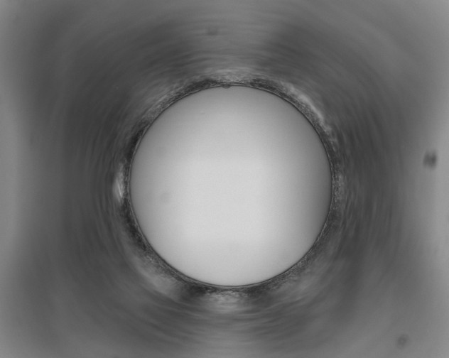 X0000095920069200801110904