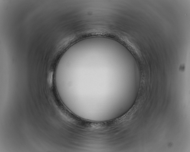 X0000095920070200801110904