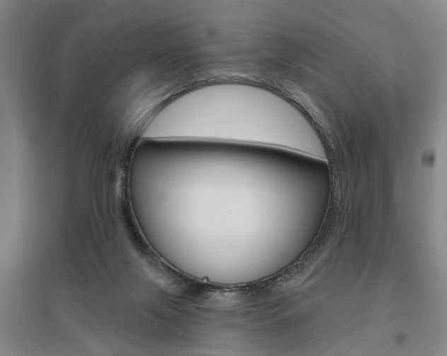 X0000095920071200801110904