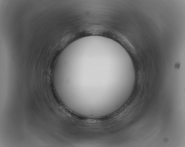 X0000095920073200801110904
