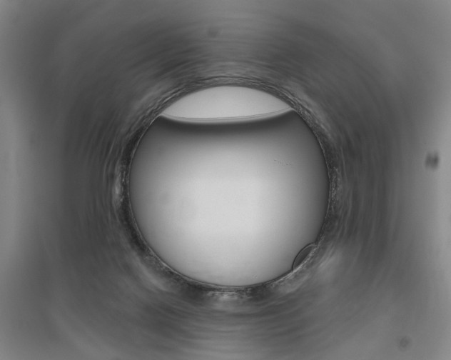 X0000095920074200801110904