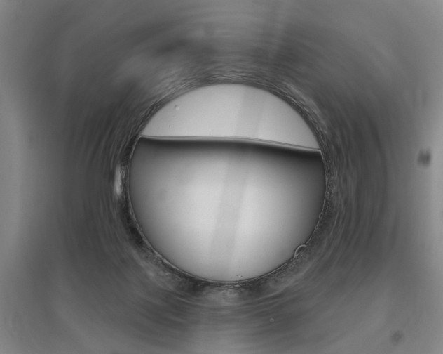 X0000095920075200801110904