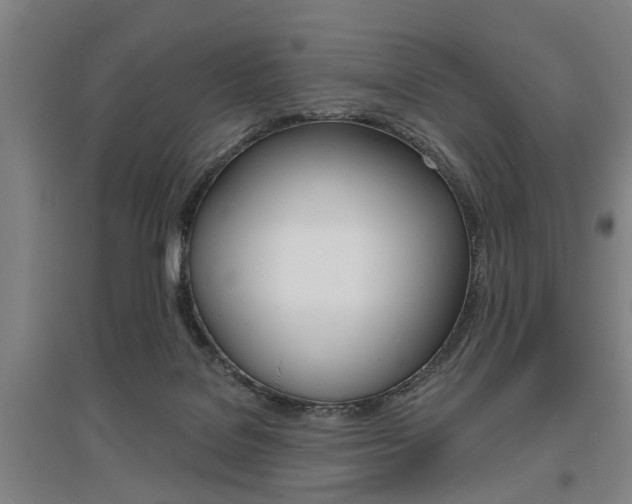X0000095920076200801110904